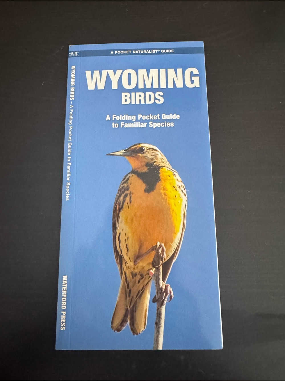 Waterford Wyoming Birds Pocket Guide - Blue Cover with Yellow Bird